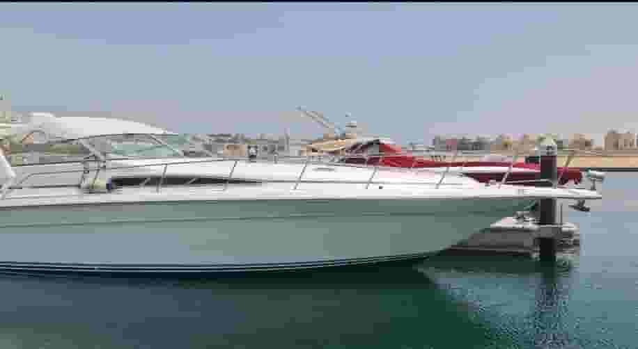 Sea Ray Sun Dancer Boat