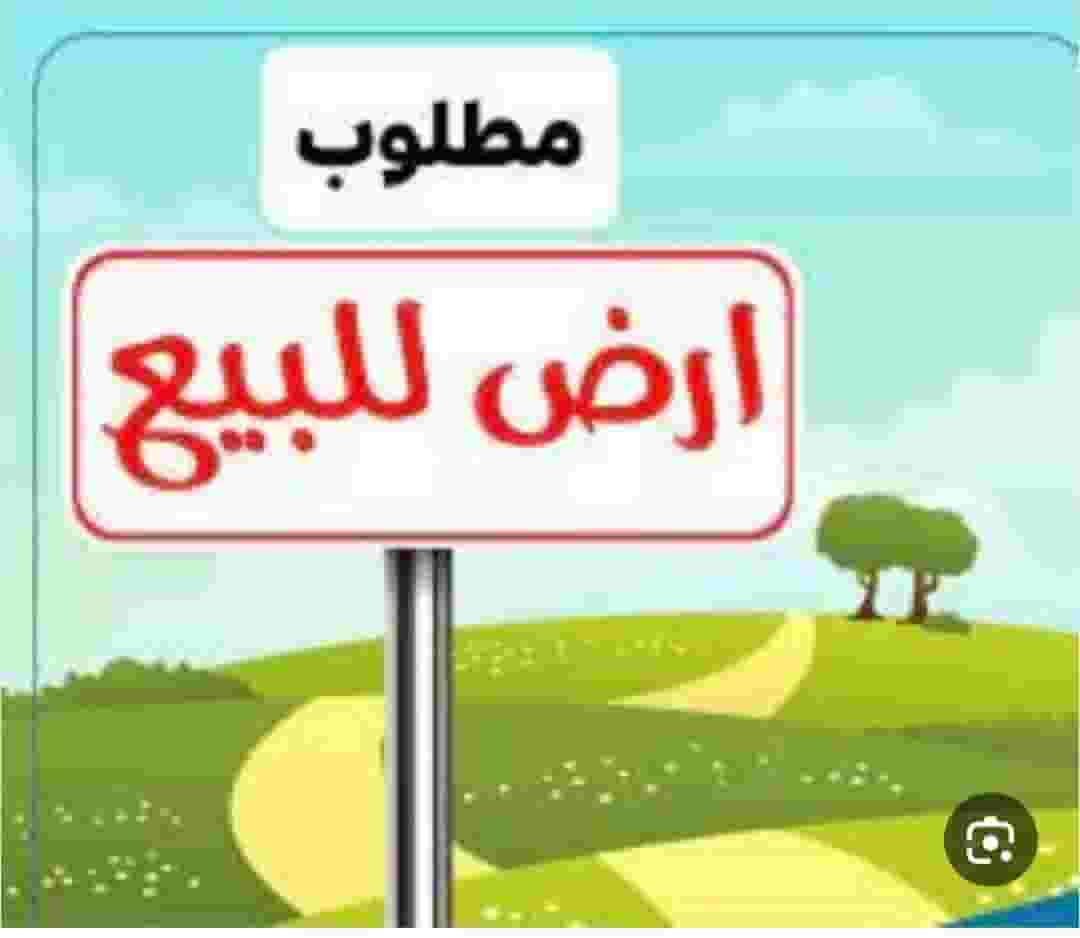 Land is required in the United Arab Emirates