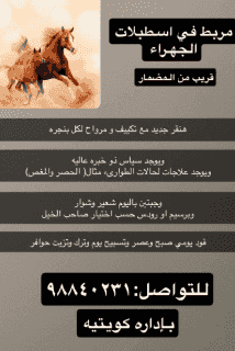 مربط خيل اسطبلات الجهراء