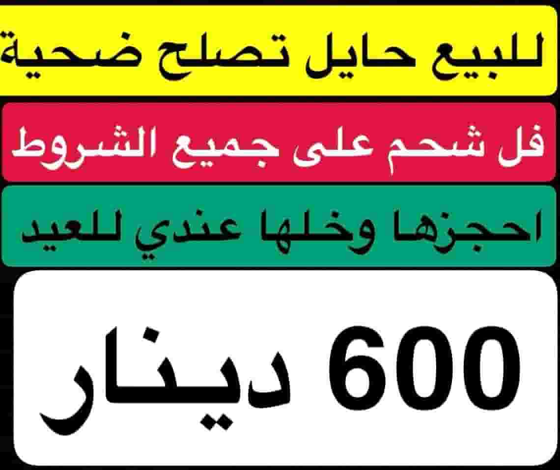 ناقه ضحية فل شحم