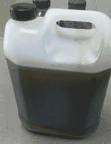 Syrian olive oil