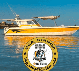  Special cruises