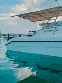 cruiser for rent