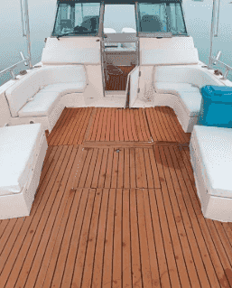 Special cruises
