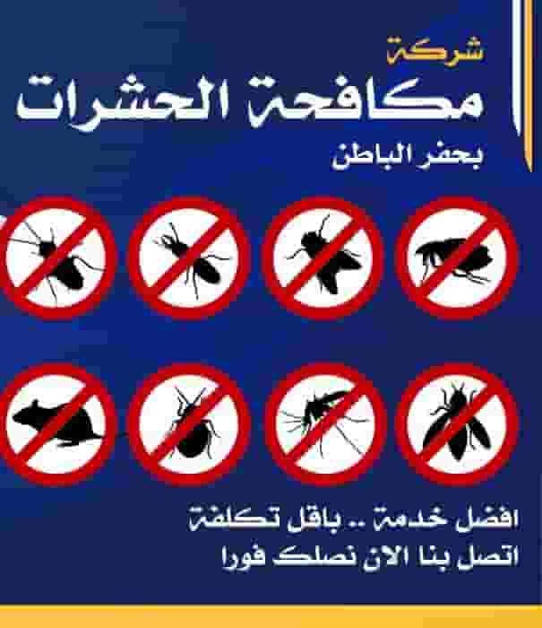 Pest Control in Kuwait