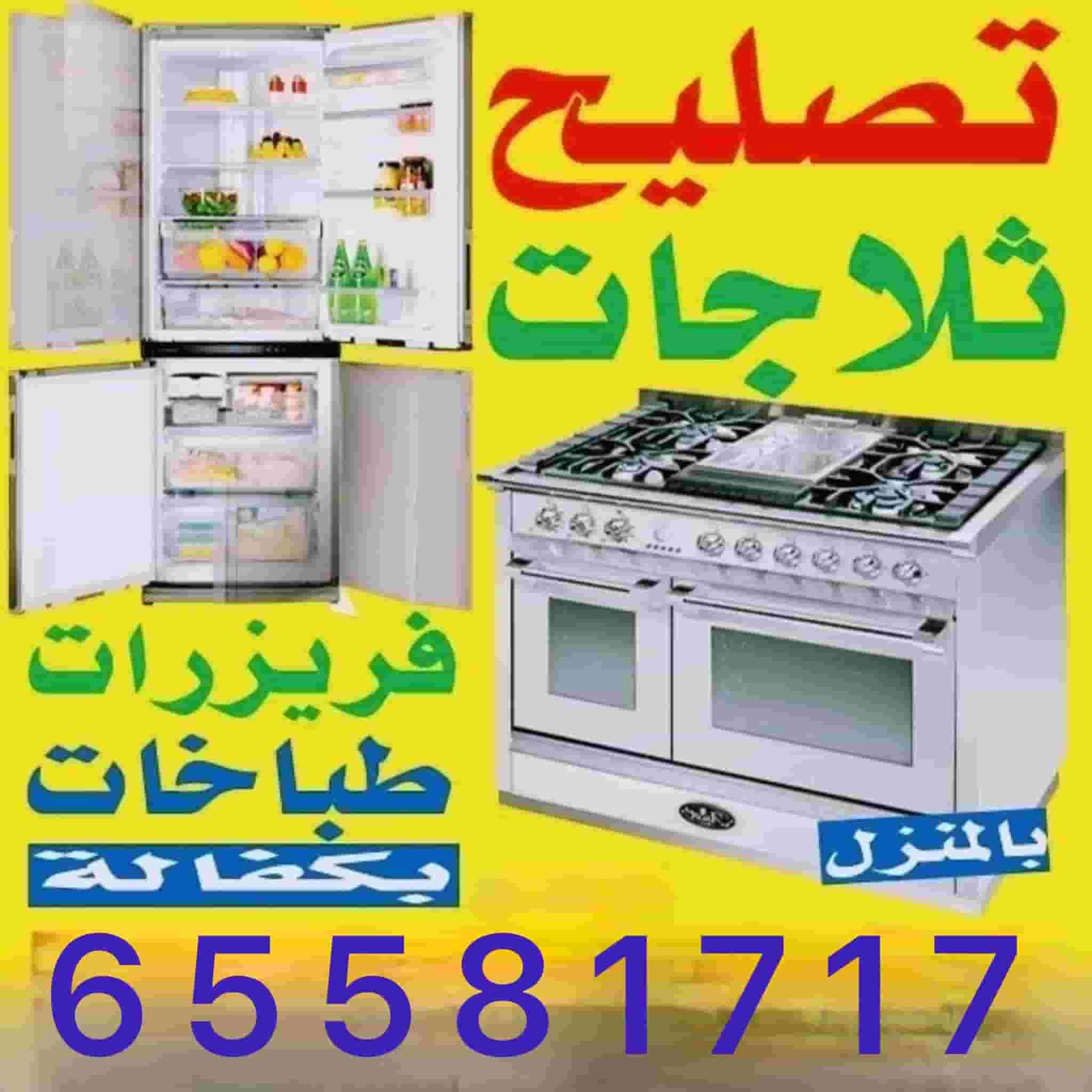 Refrigerator and freezer repair technician