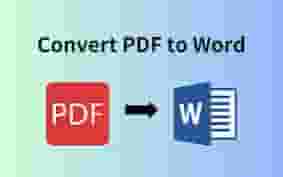 Convert pdf to word and convert book to word 