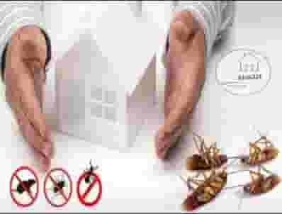 pest control