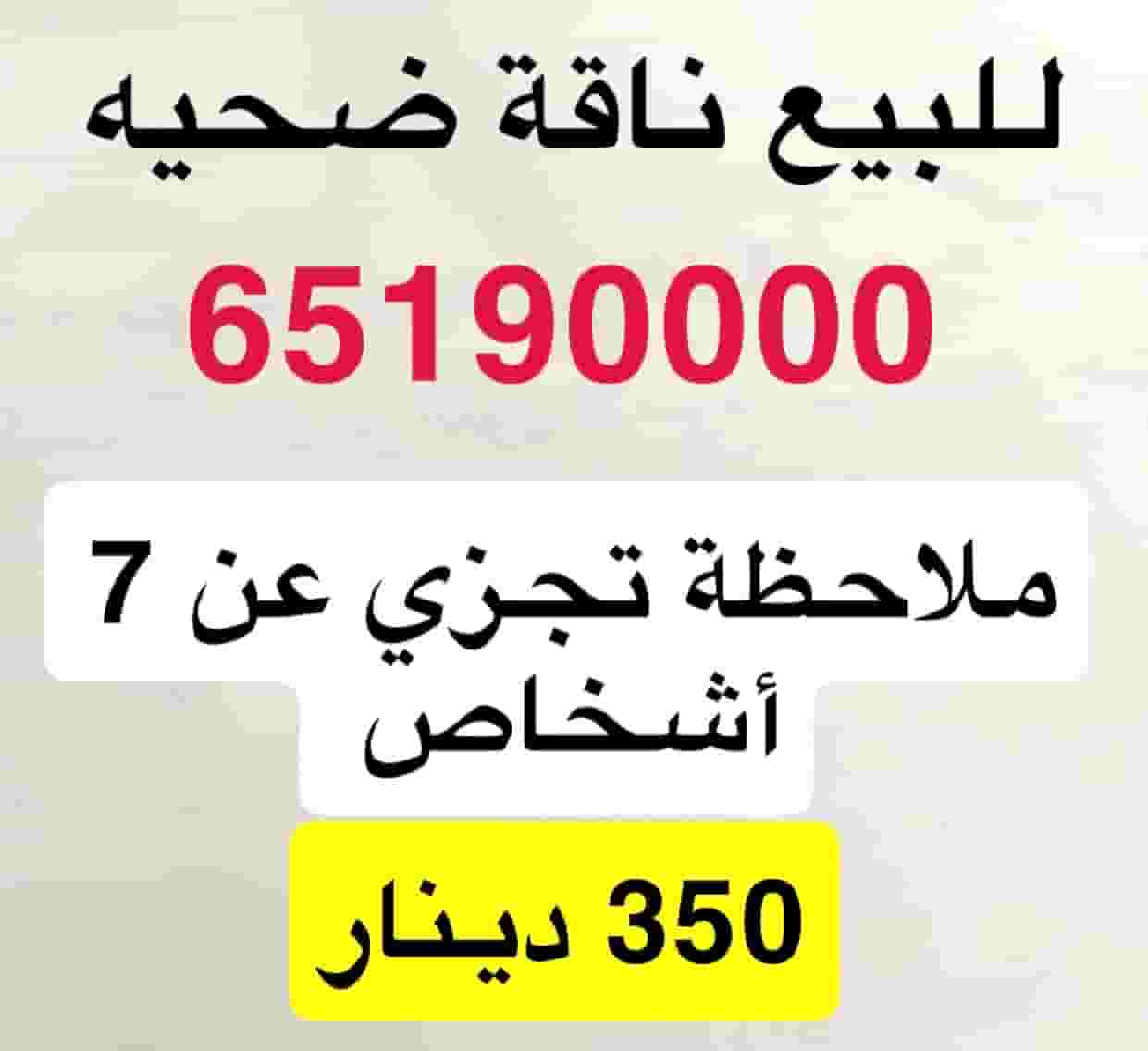 للبيع ناقة