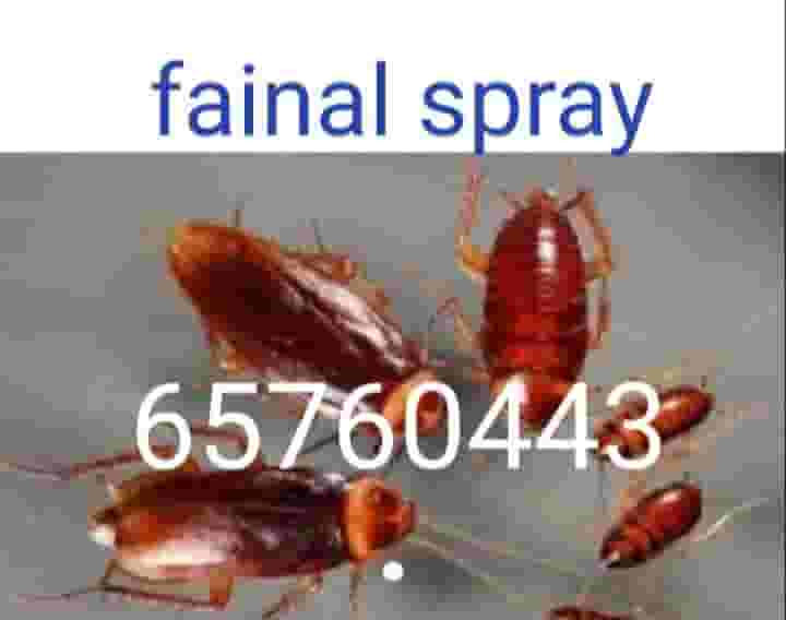 Pest control company