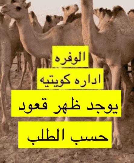For sale Qaadan 