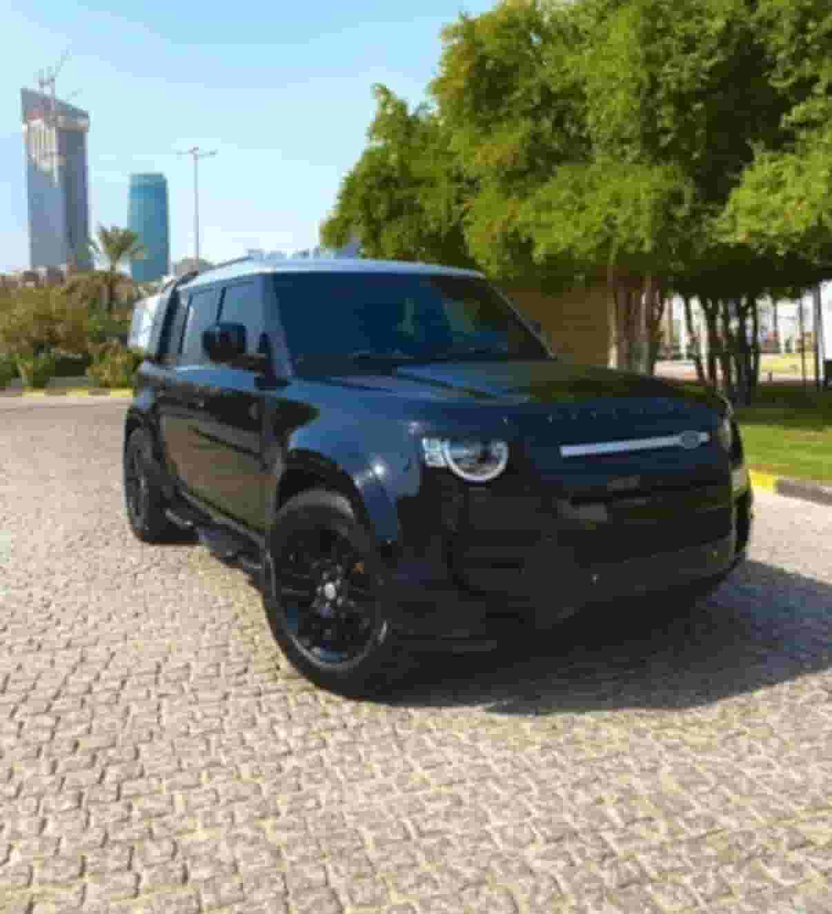 Defender 110 P300 2022