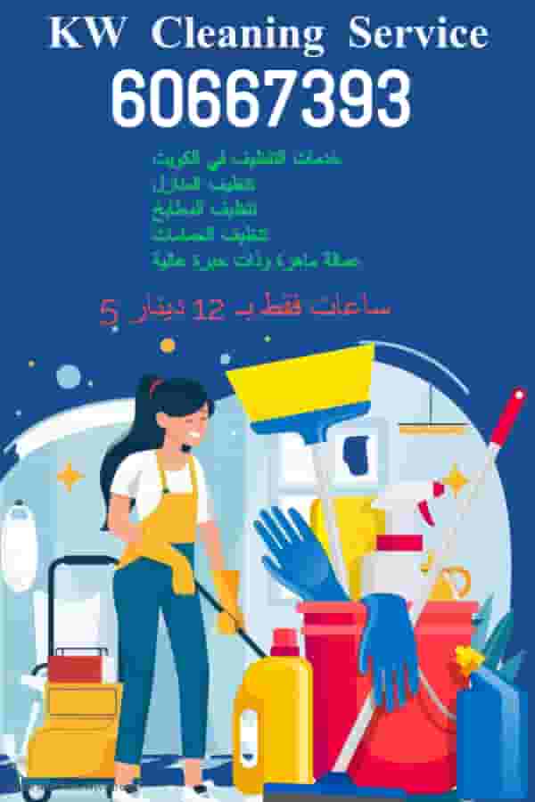 cleaning service 