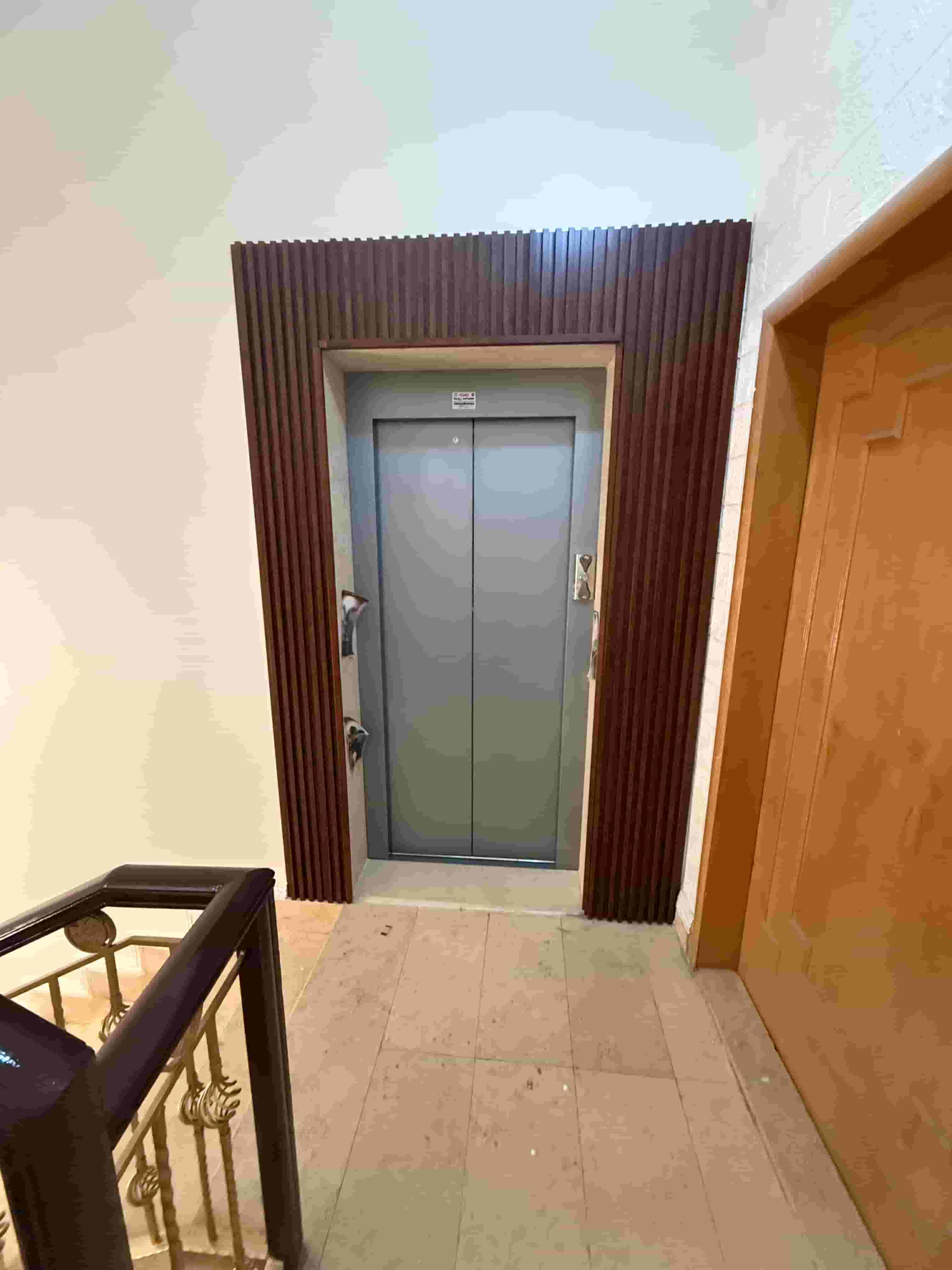 Abu Maryam for decorations