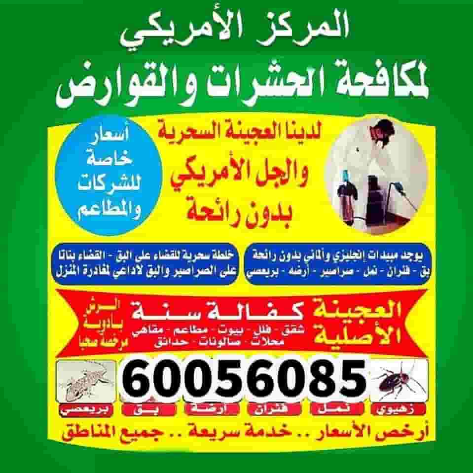 Kuwait pest control