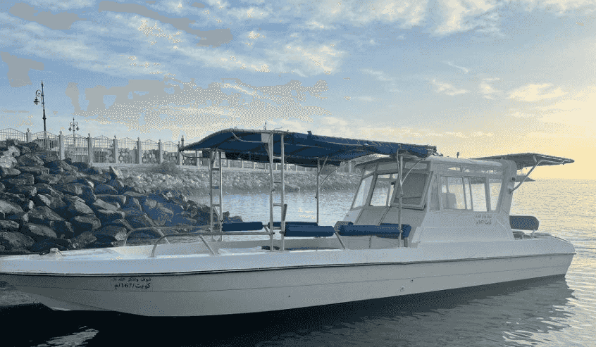  cruises
