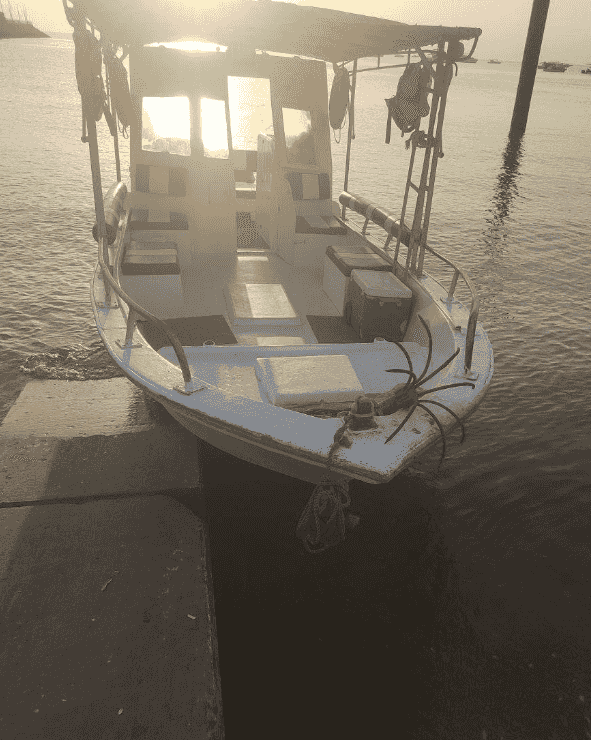 For rent a cruiser 