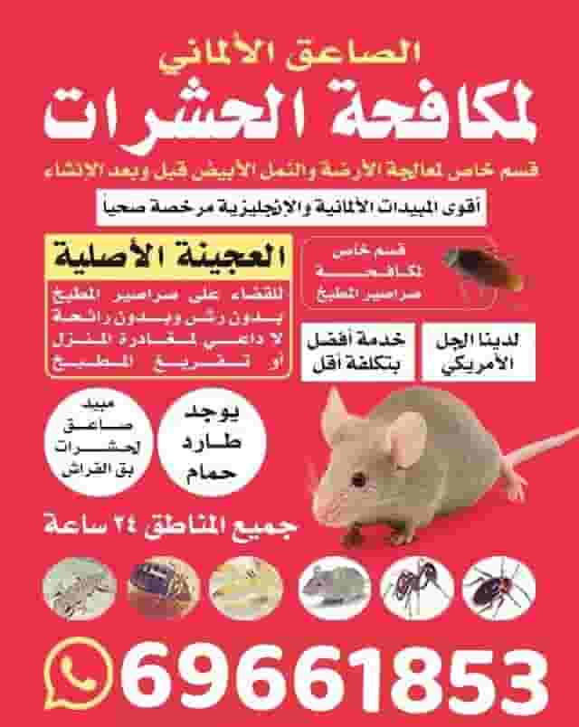 Pest control in all areas of Kuwait