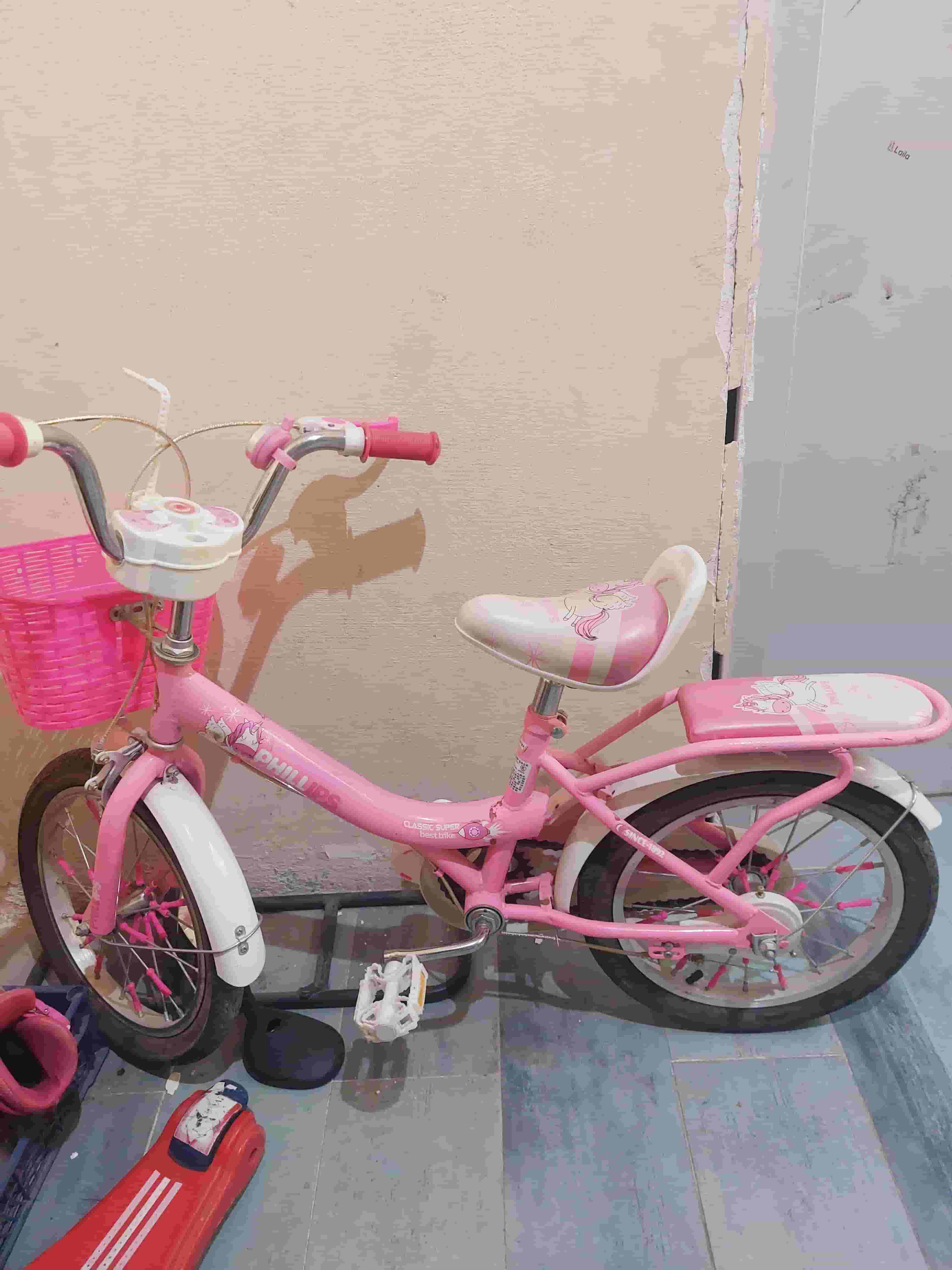 My girl's bike