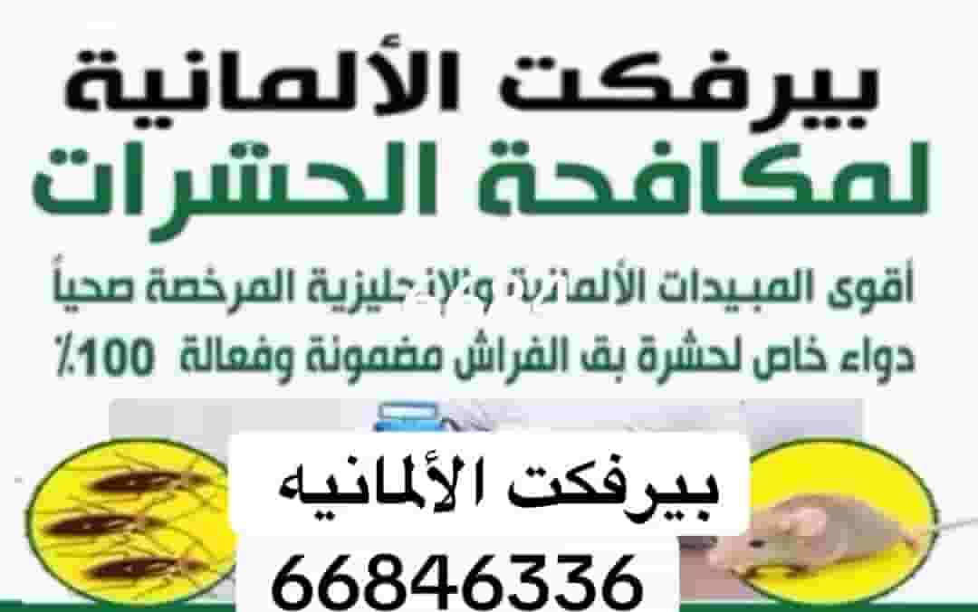 Pest control and spray rodents 