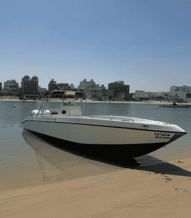 Pearl cruiser for sale