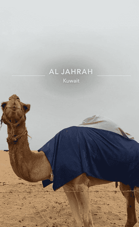 للبيع رحول