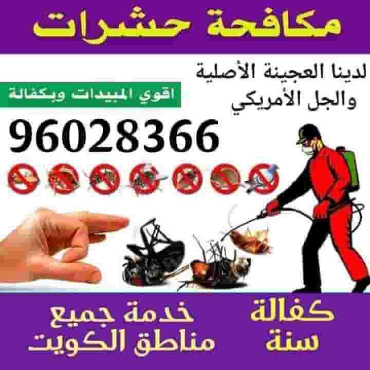 Control of insects and rodents in Kuwait