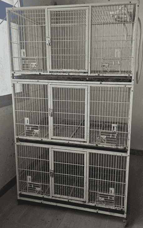 Cages for sale