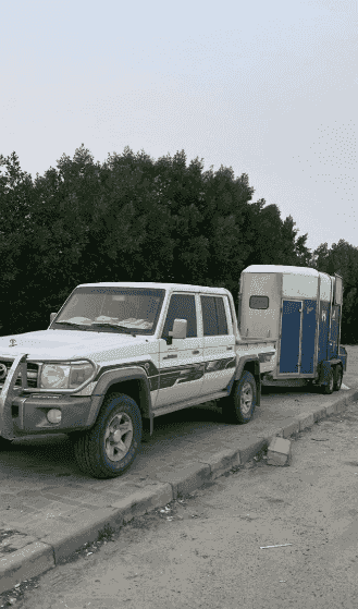 24 hour horse transport 