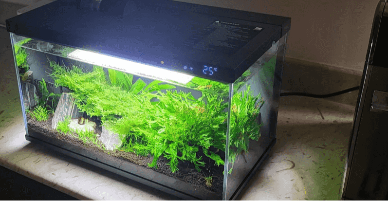Smart aquarium 