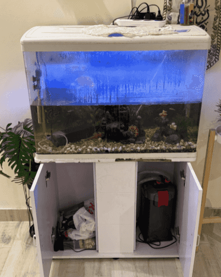 Fish tank for sale