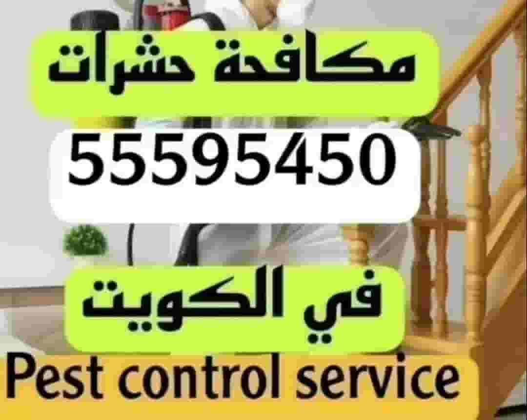 مكافحة حشرات