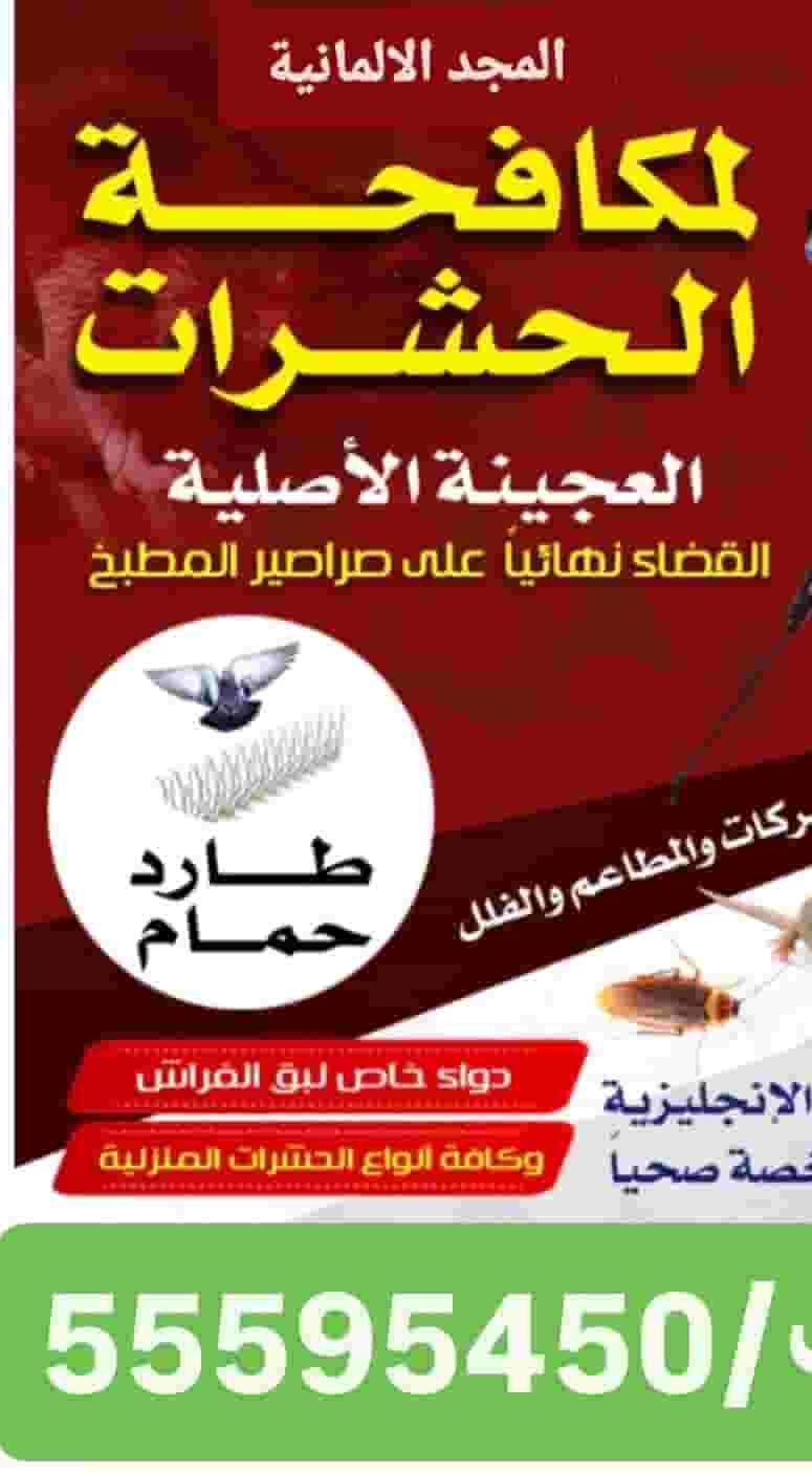 مكافحة حشرات