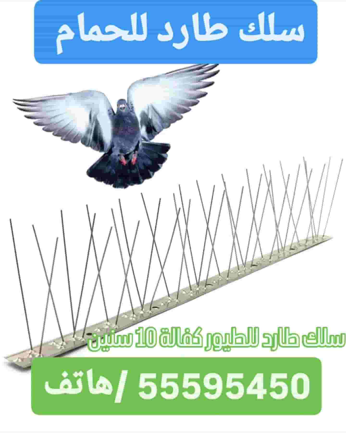 مكافحة حشرات 