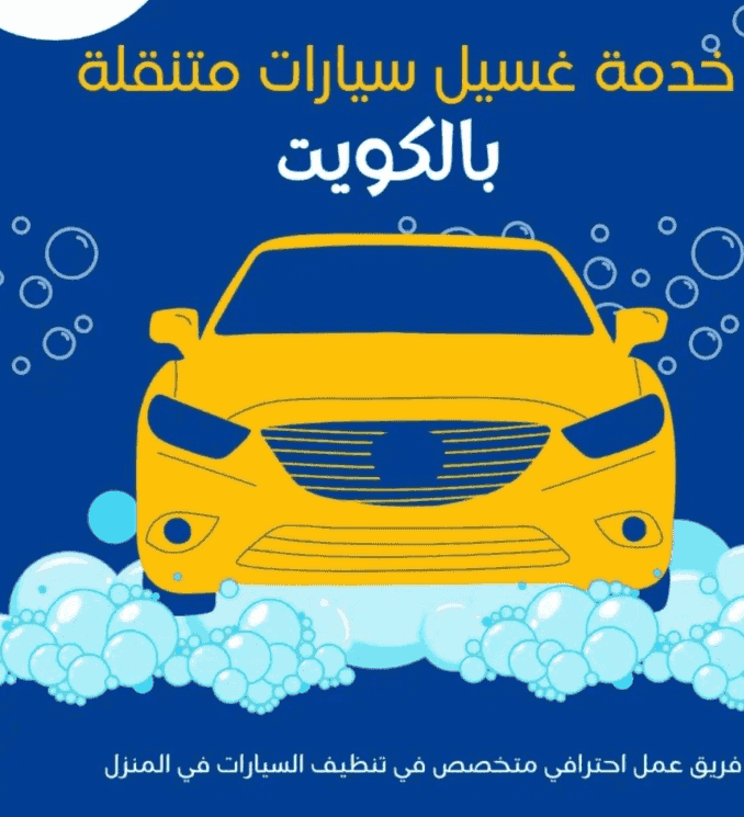  Professional wash and polish