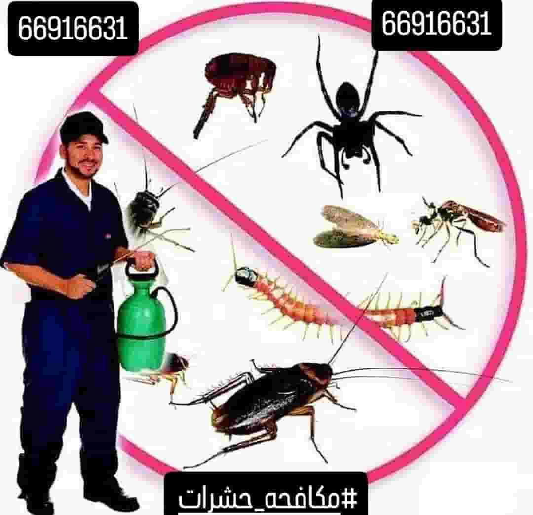 خدمه مكافحه حشرات وقوارض