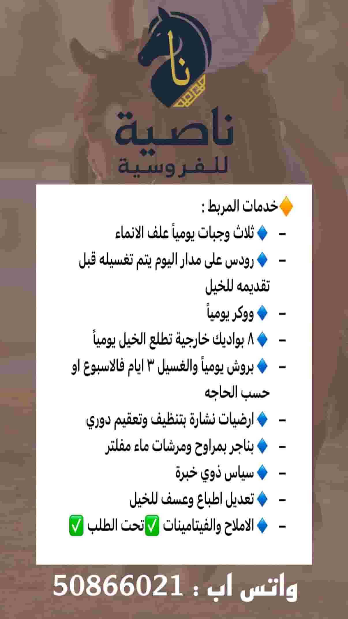 مربط ناصية للخيل