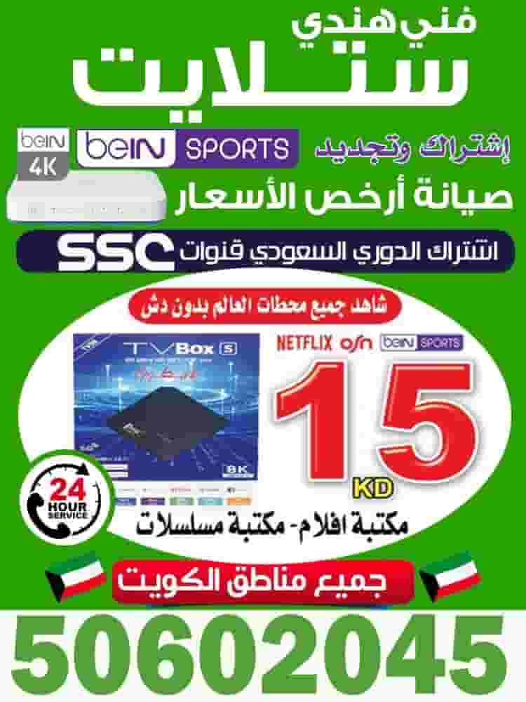 Maintenance and programming of the installation of all types of satellite