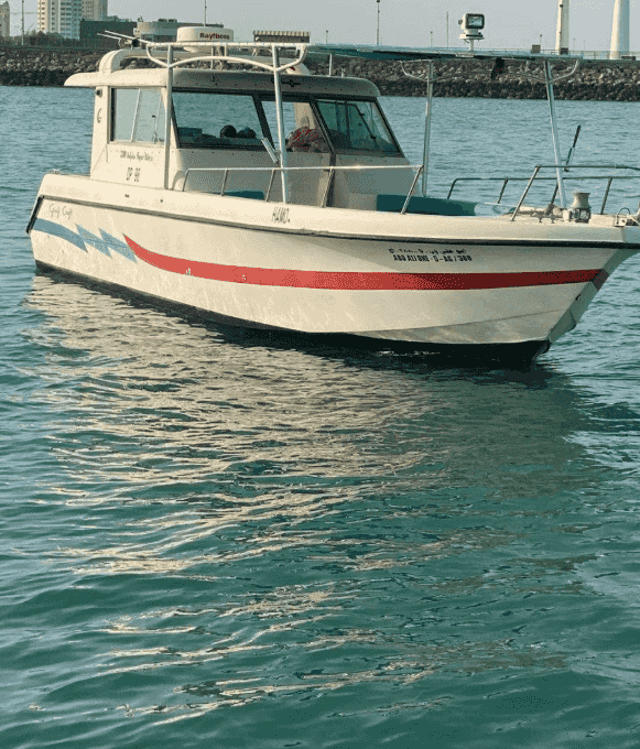 Cruises for rent