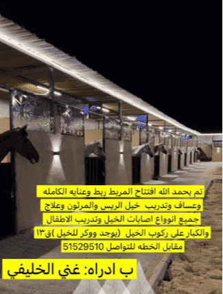 خدمات متكاملة للعناية بالخيل 🐎