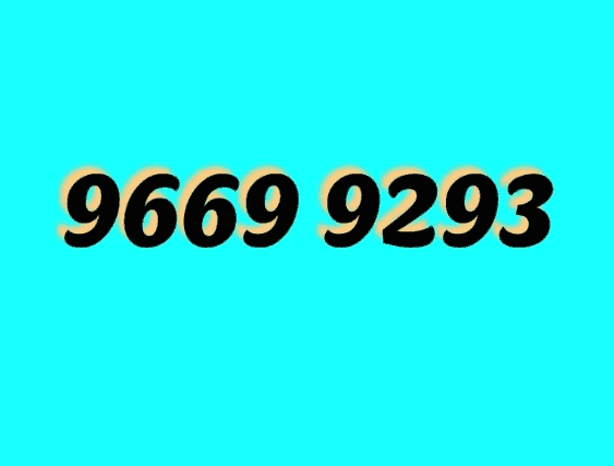 Zain special numbers