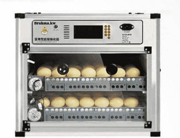 Used Chinese hatcheries for sale