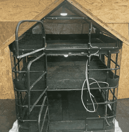 Chicken Chicken Incubator