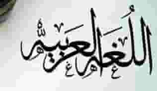 Established Arabic language teacher  