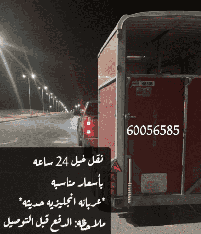 24 hour horse transport