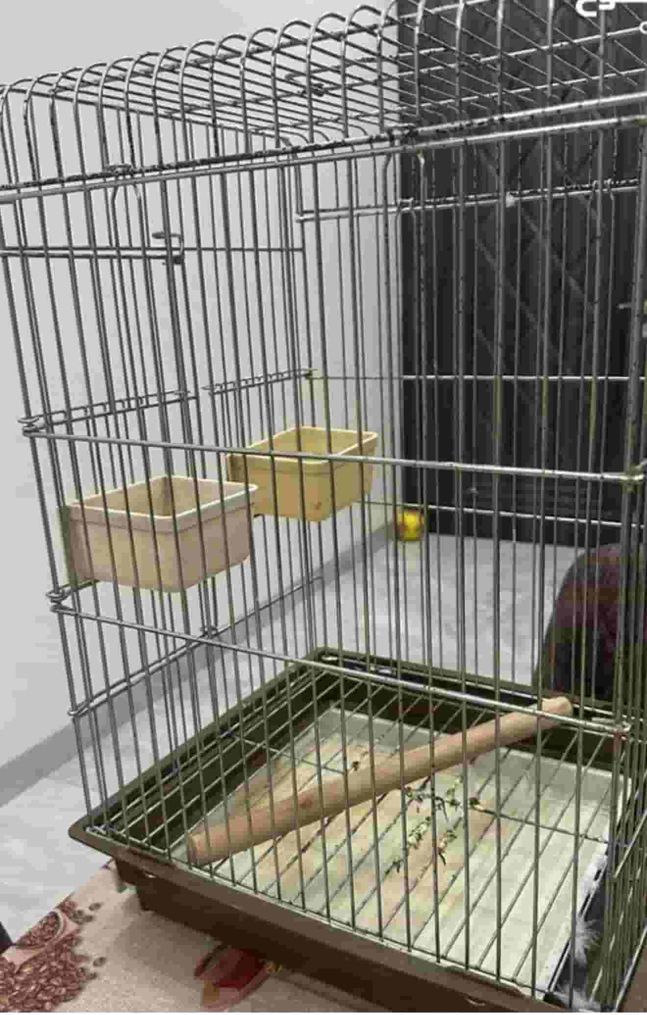Bird cage for sale