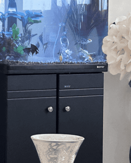 Aquarium with fish