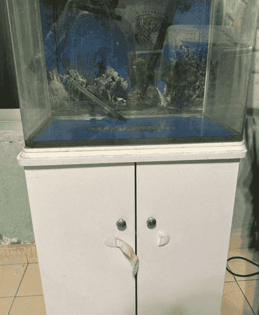 Fish tank for sale