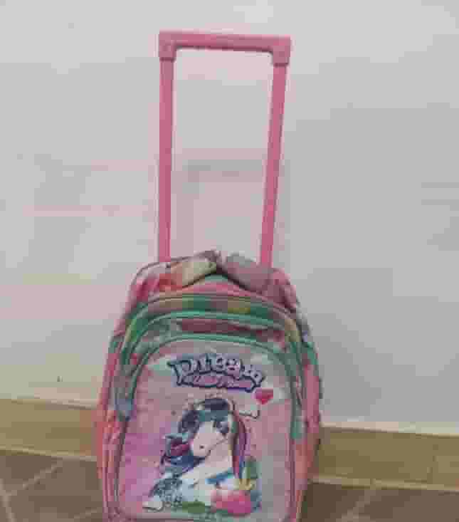 The most beautiful school bags