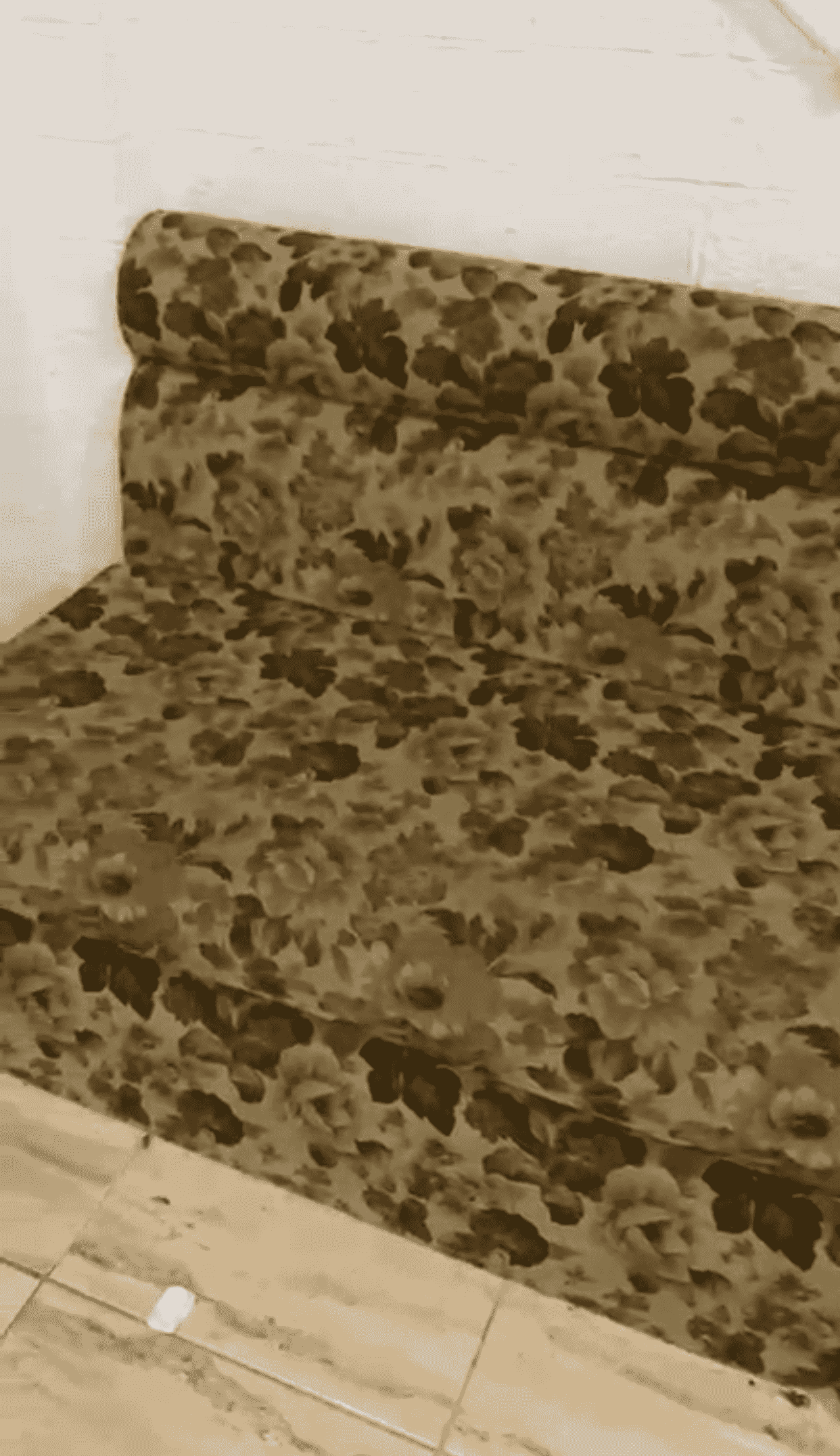 قنفات للبيع كبيره